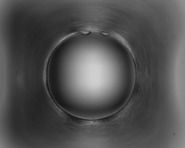 X0000088581195200705251132