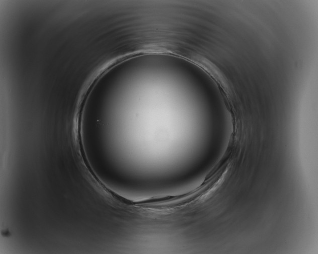 X0000088581196200705251131