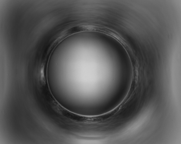 X0000088581198200705251131
