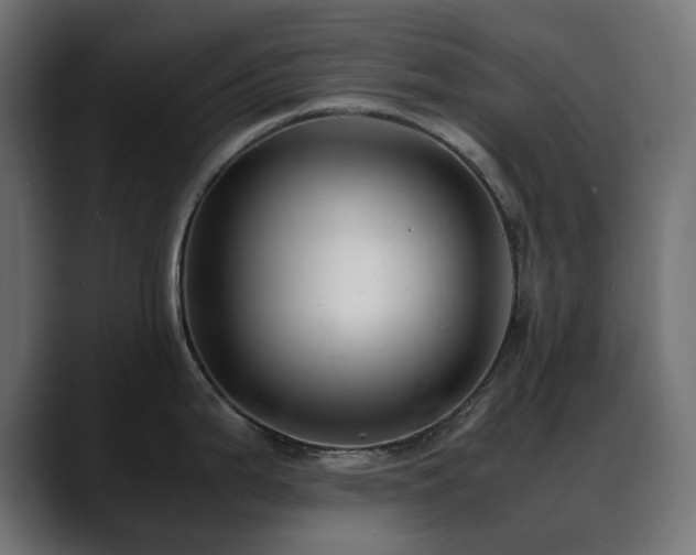 X0000088581199200705251131