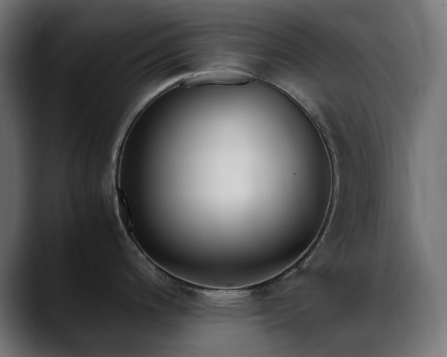 X0000088581200200705251131