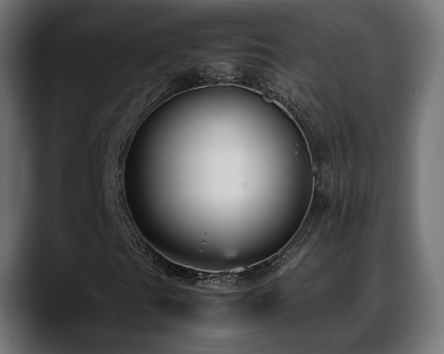 X0000088581201200705251131