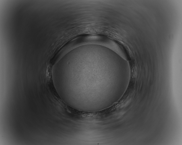 X0000088581202200705251131