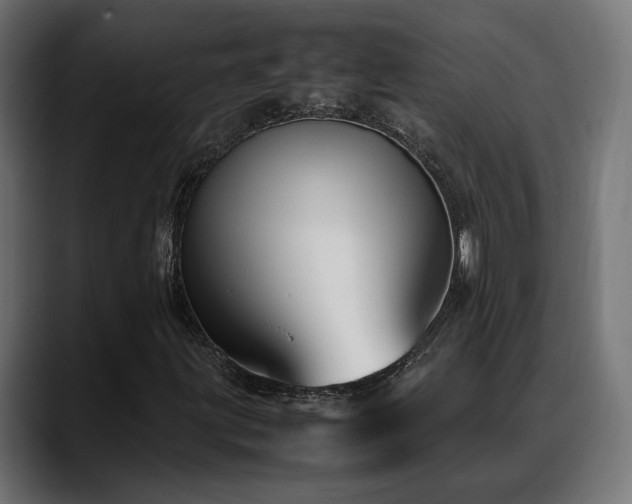 X0000088581203200705251131
