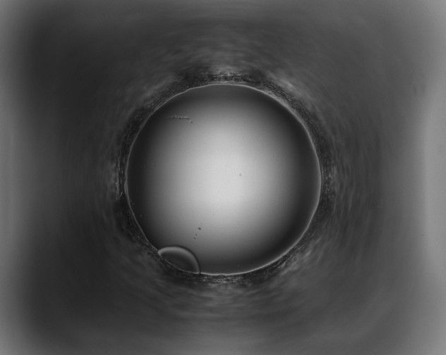 X0000088581205200705251131