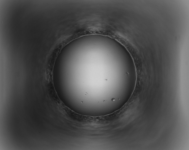 X0000088581207200705251131