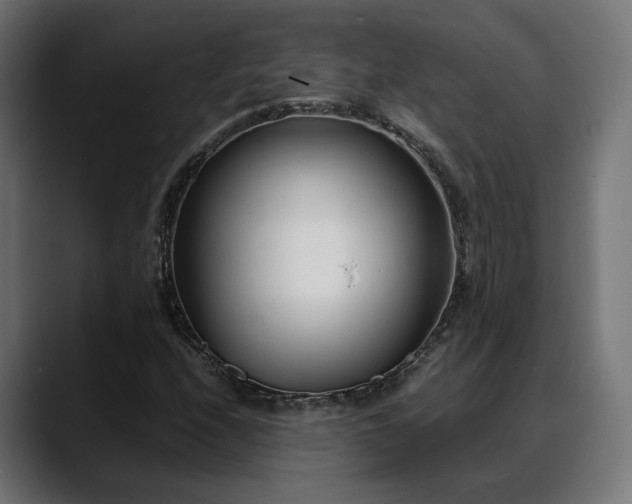 X0000088581208200705251131