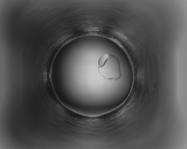 X0000088581209200705251131