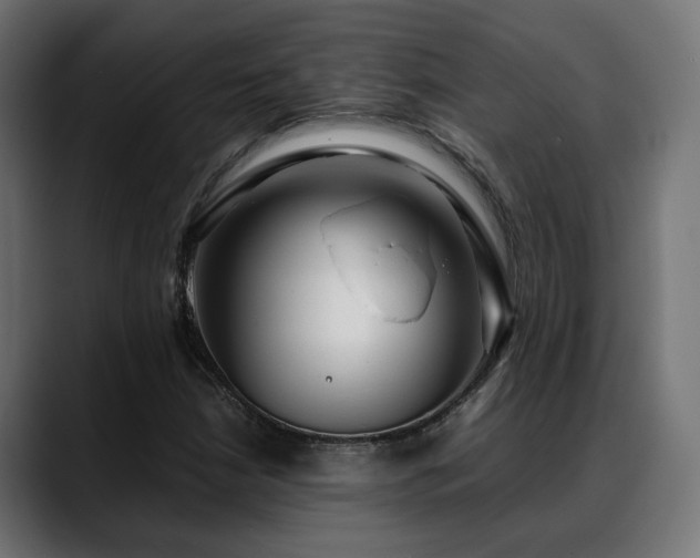 X0000088581210200705251131