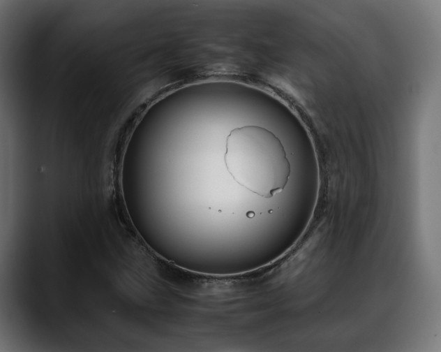 X0000088581211200705251131