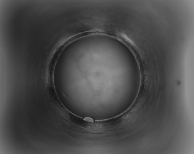 X0000088581215200705251131