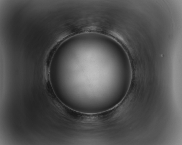 X0000088581219200705251131