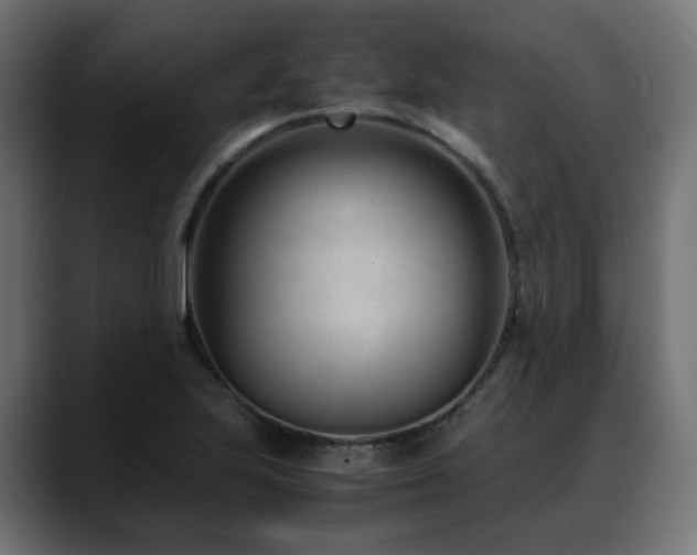 X0000088581223200705251131