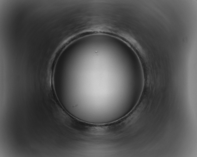 X0000088581224200705251131