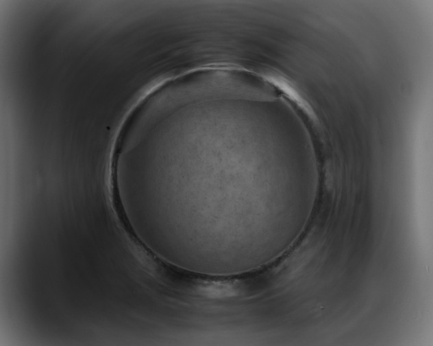 X0000088581229200705251131