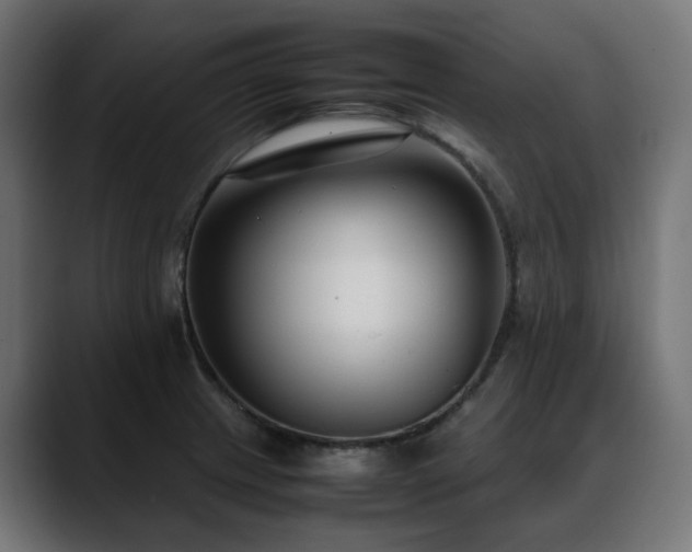 X0000088581233200705251131