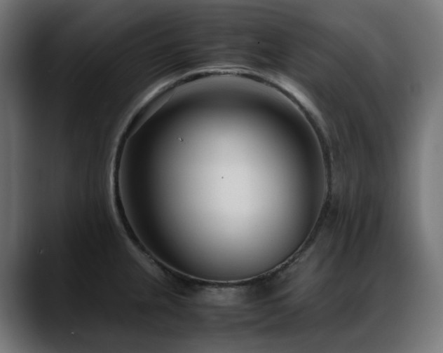 X0000088581237200705251131