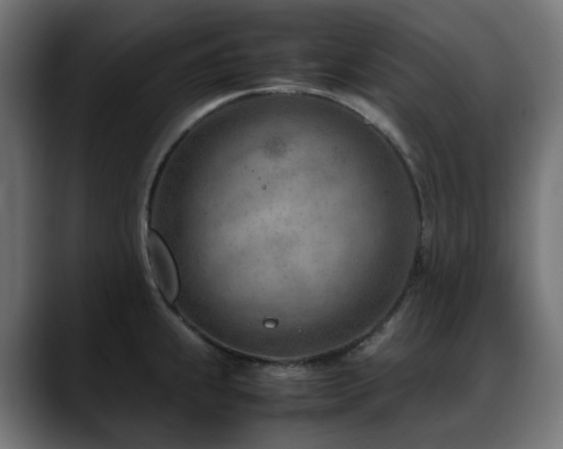 X0000088581239200705251131