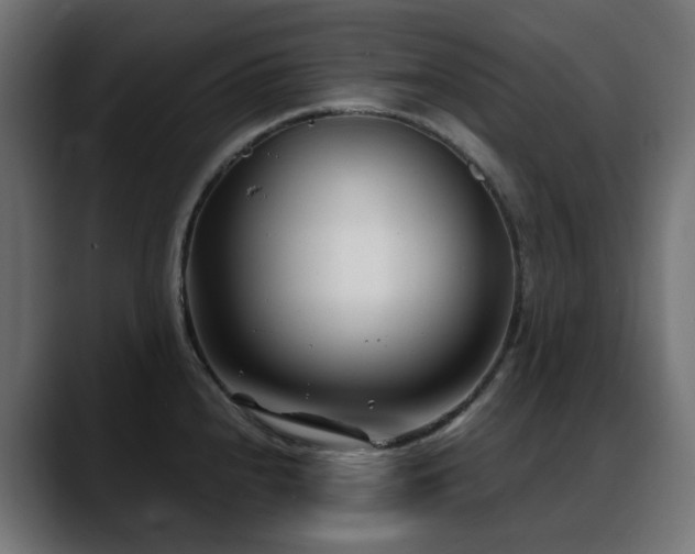 X0000088581240200705251131