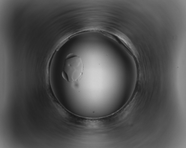 X0000088581242200705251131