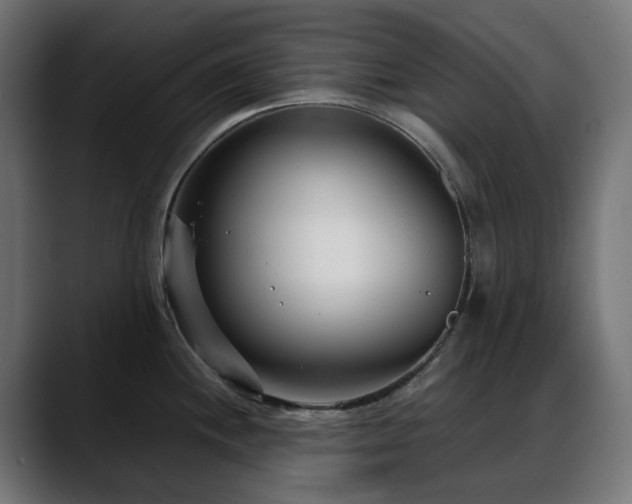 X0000088581244200705251131