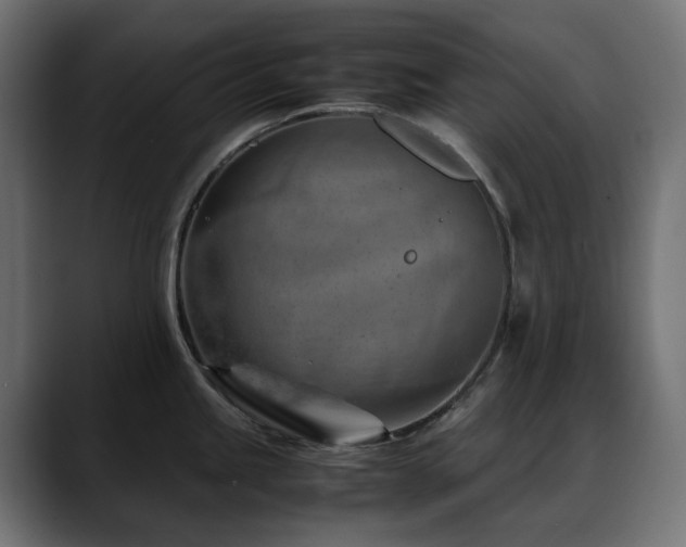 X0000088581245200705251131