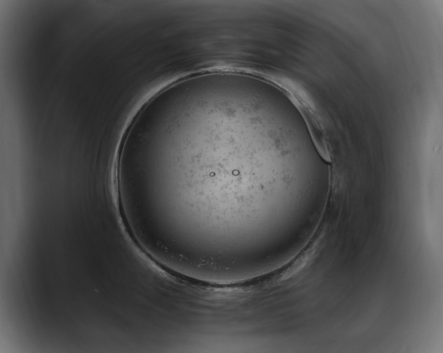 X0000088581247200705251131