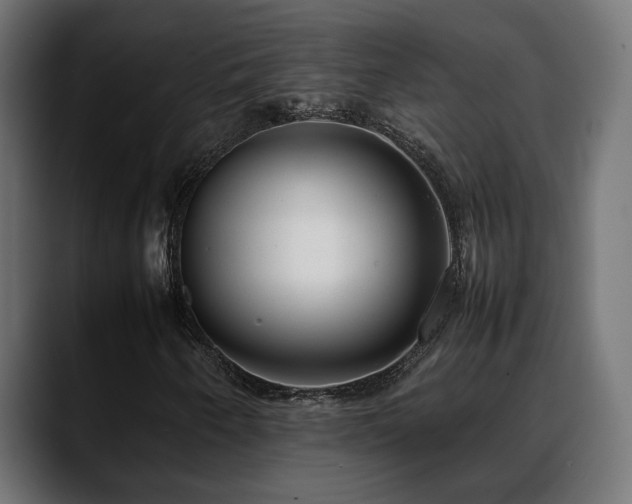 X0000088581250200705251131