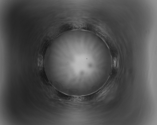X0000088581251200705251131