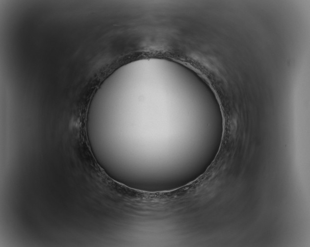 X0000088581254200705251131