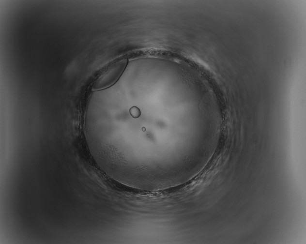 X0000088581255200705251131