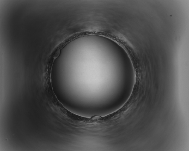 X0000088581256200705251131