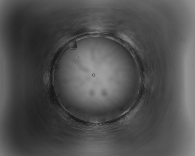 X0000088581259200705251131