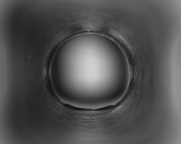 X0000088581261200705251131