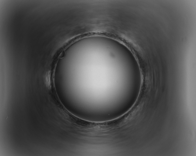 X0000088581262200705251131