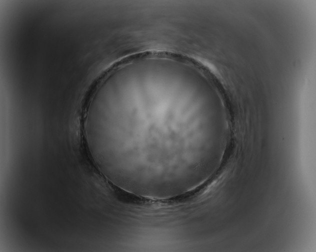 X0000088581263200705251131