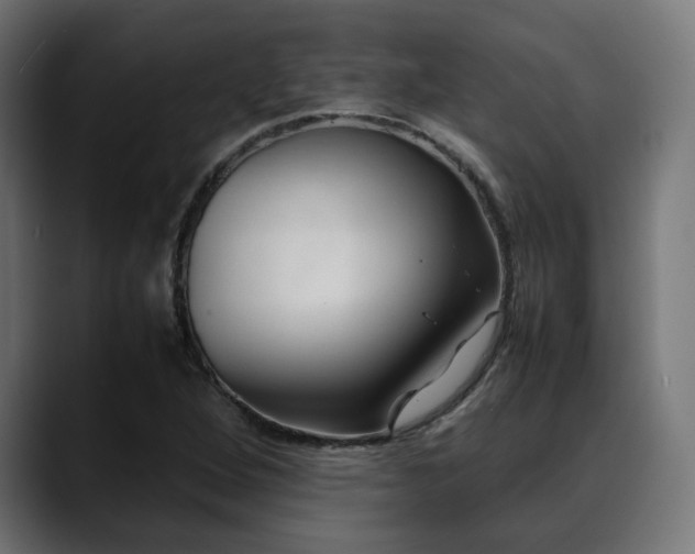 X0000088581264200705251131