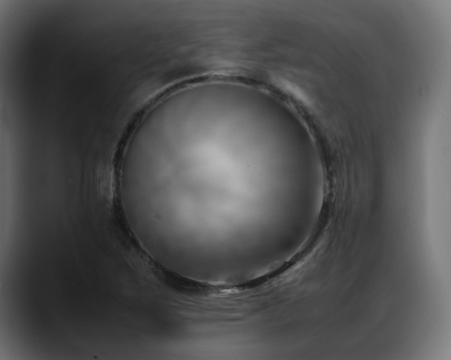 X0000088581267200705251131