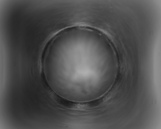 X0000088581271200705251131