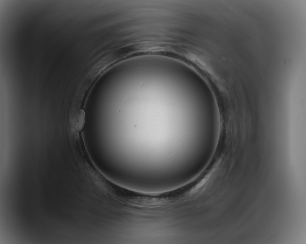 X0000088581273200705251130