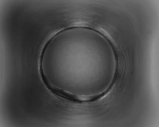 X0000088581277200705251130