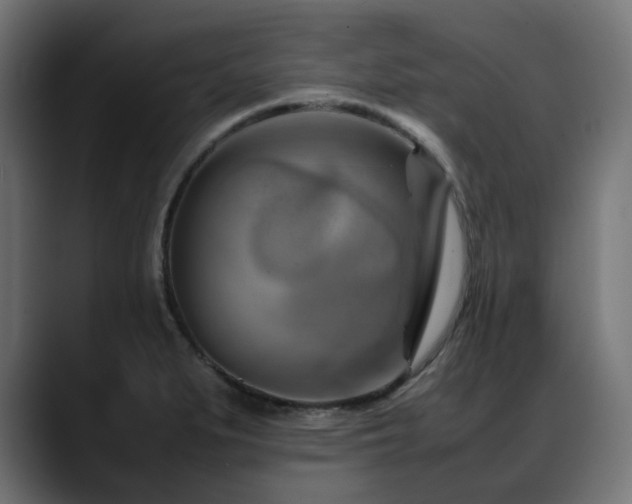X0000088581279200705251130