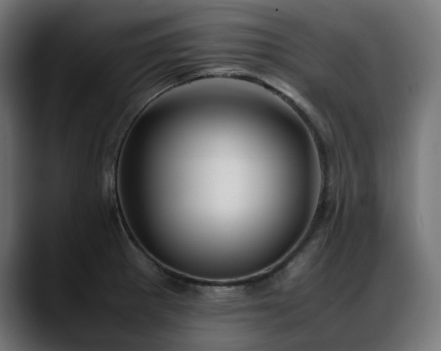 X0000088581281200705251130