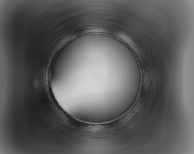 X0000088581282200705251130