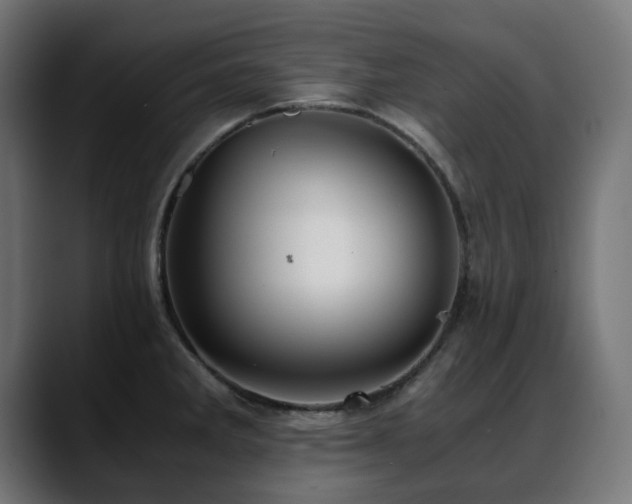 X0000088581285200705251130