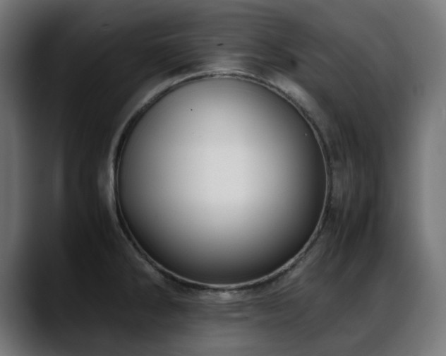 X0000088581286200705251130