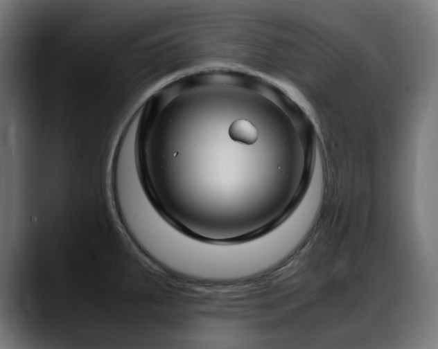 X0000088581287200705251130