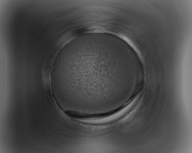 X0000088581289200705251130