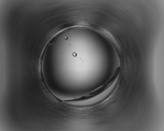 X0000088581292200705251130