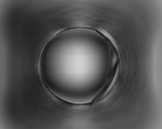 X0000088581293200705251130